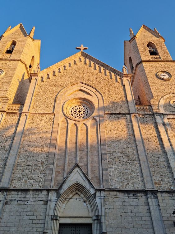 Basilica of the Immaculate Conception and St. Peter the Apostle image